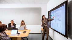 Image of a woman in a conference room presenting and gesturing at a projector slide on display