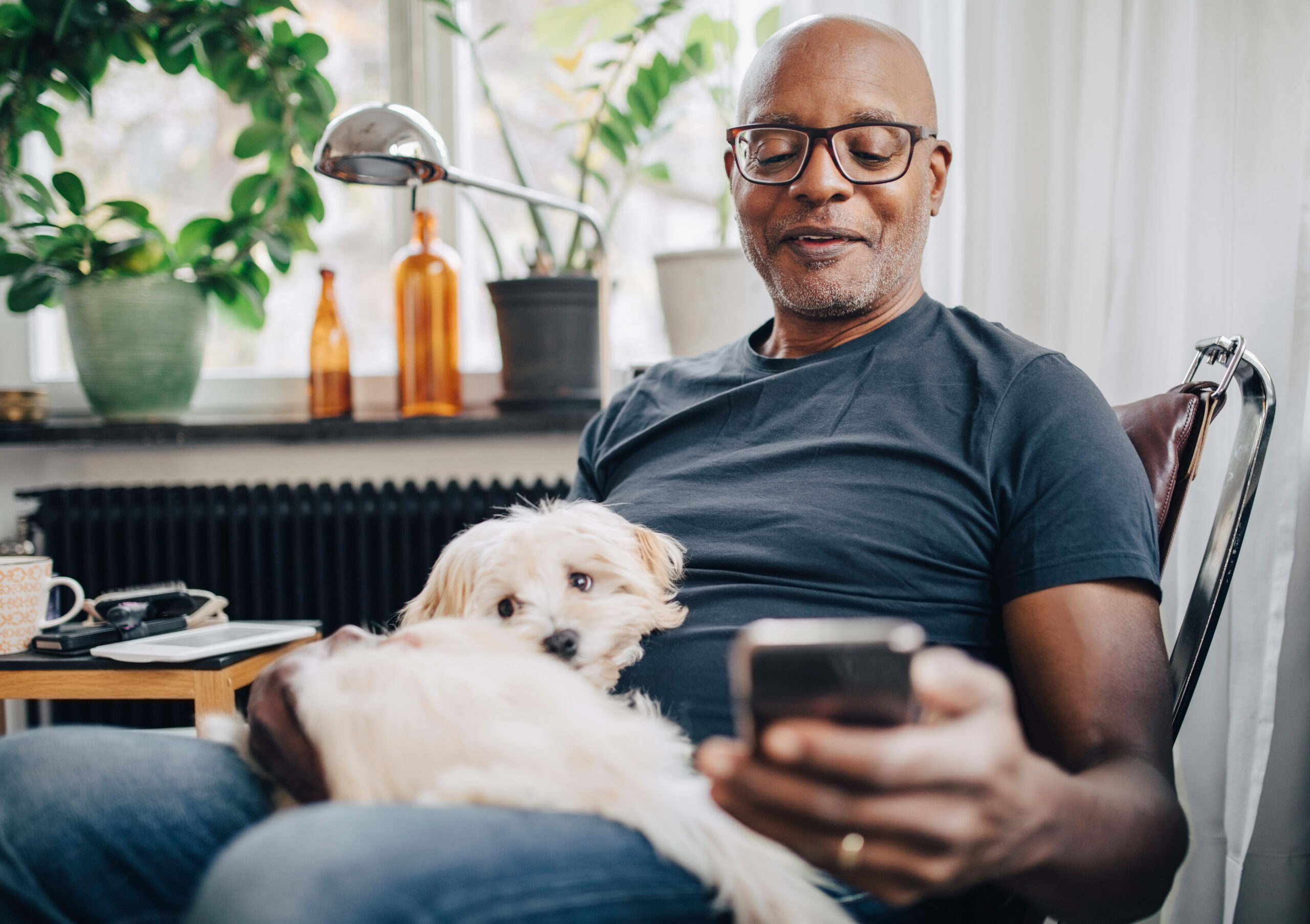 Photo of a senior male using his Apple Messages app while sitting with dog in room at home