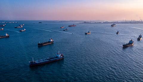 Einige Containerschiffe im Meer. 