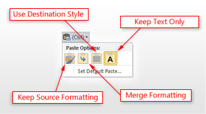 Paste Options button Screenshot of Paste Options button.