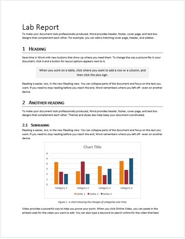 Example lab report