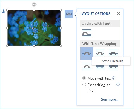 Set as default in layout options call-out Layout Options
