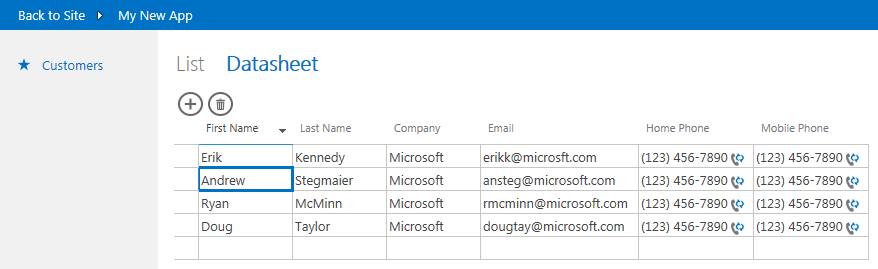 The default datasheet view. The default datasheet view.