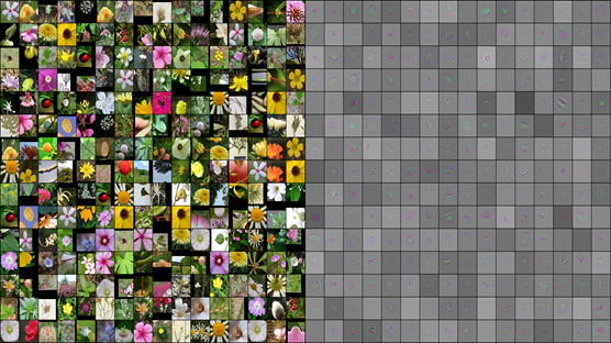 Caffe deep-learning framework