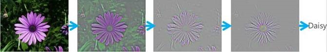 flower project3.png