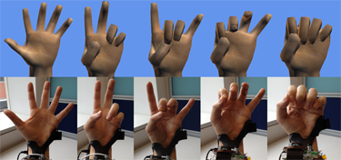Digits: Freehand