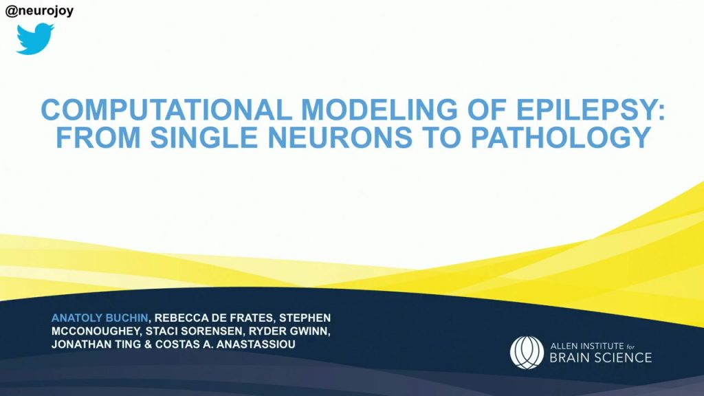 Computational Modelling of Human Epilepsy