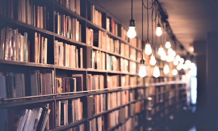 shelves of books with pendant lights
