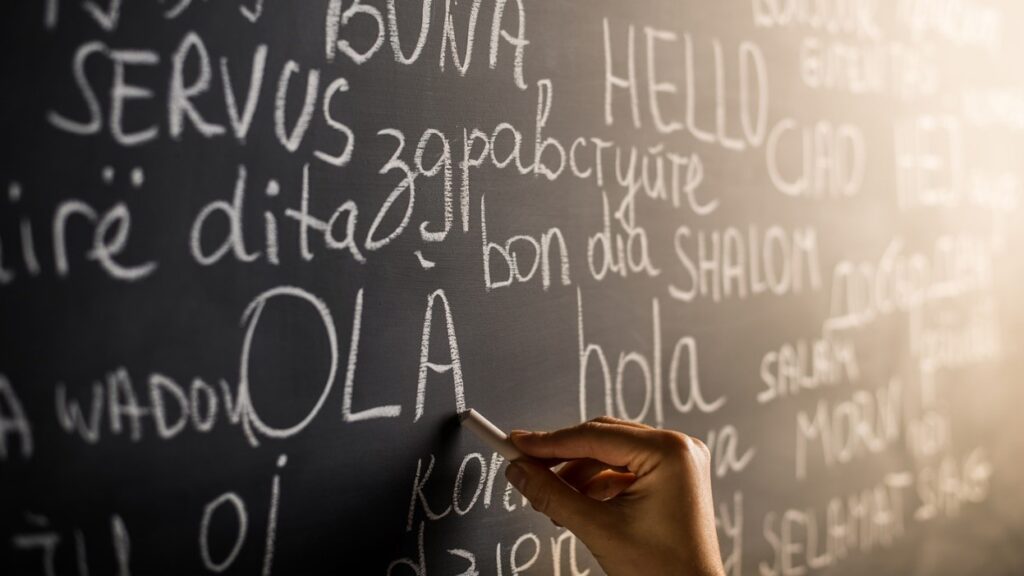 Towards Language Agnostic Universal Representations