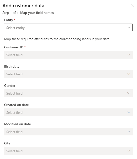 Add Customer Data