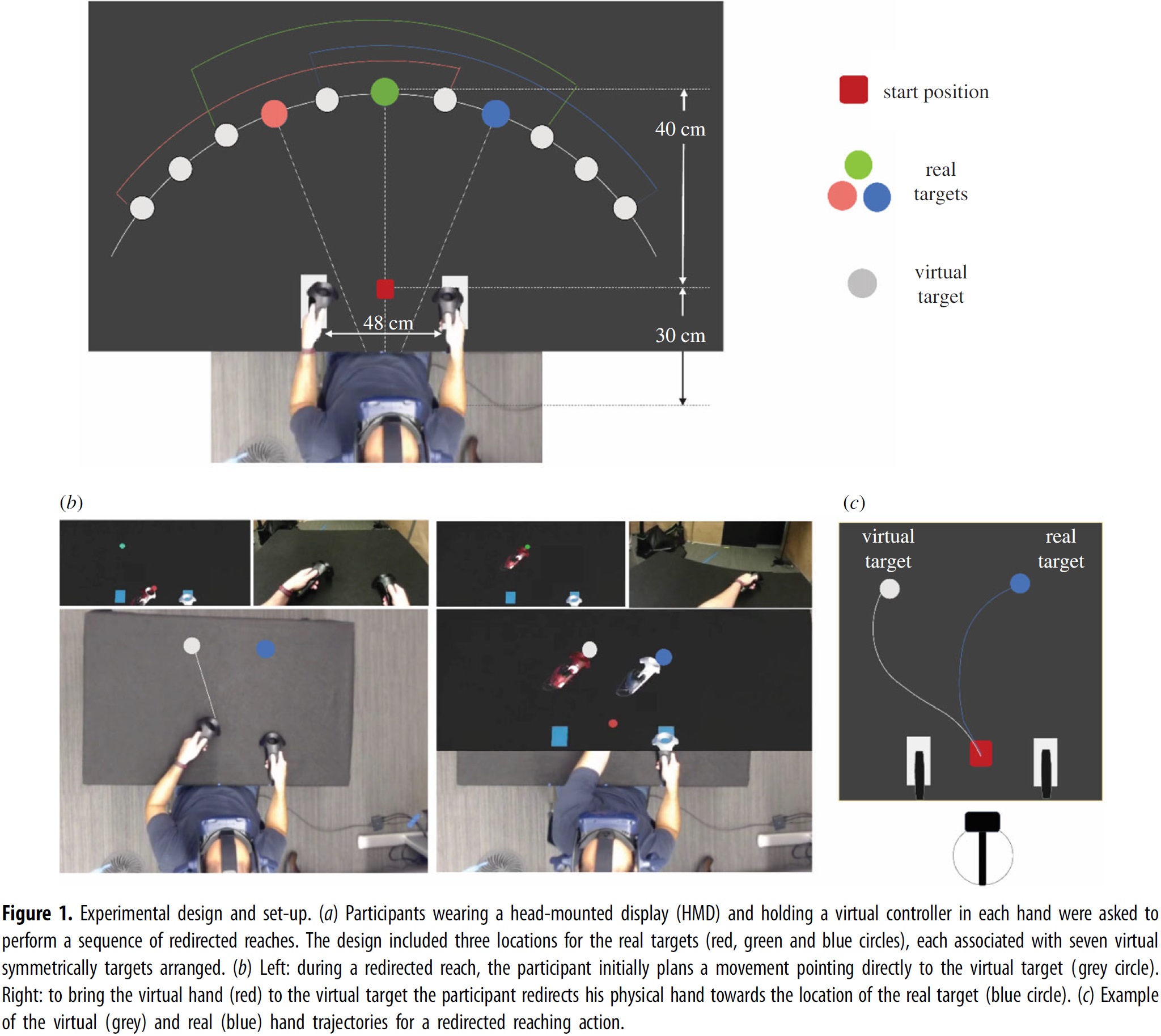 Experimental design and set-up. (a) Participants wearing a head-mounted display (HMD) and holding a virtual controller in each hand were asked to perform a sequence of redirected reaches. The design included three locations for the real targets (red, green and blue circles), each associated with seven virtual symmetrically targets arranged. (b) Left: during a redirected reach, the participant initially plans a movement pointing directly to the virtual target (grey circle). Right: to bring the virtual hand (red) to the virtual target the participant redirects his physical hand towards the location of the real target (blue circle). (c) Example of the virtual (grey) and real (blue) hand trajectories for a redirected reaching action.