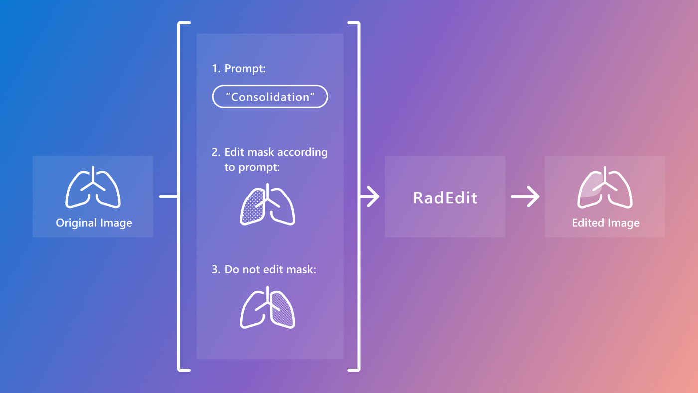  On the left is a simple drawing of the lungs. The drawing shows the borders of the left and right lung as well as the trachea and the left and right main stem bronchi. The text under the drawing reads: Original image. To the right of the drawing are the 3 additional inputs of RadEdit. They are arranged vertically. On top there is an example editing prompt. It reads 