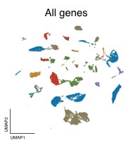 All genes