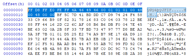 Valid JPEG file header followed by encrypted malicious code