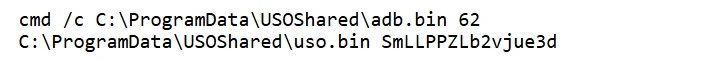 Screenshot of artifact associated with Diamond Sleet malware