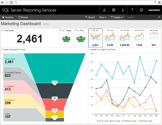 SQL Server Reporting Services dashboard on the Microsoft business intelligence platform.