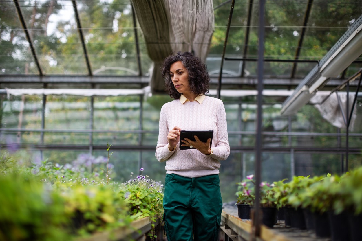 Mature woman holding a tablet working in a greenhouse