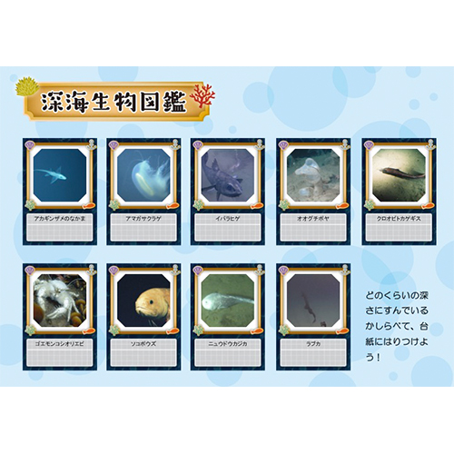 深海生物図鑑 (しんかいせいぶつずかん) 画面スライド-4