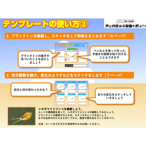 プランクトン観察カード 画面スライド-6