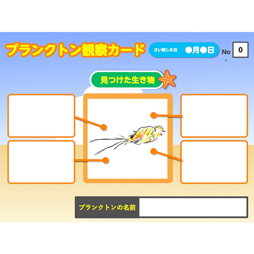 プランクトン観察カード 画面スライド-3